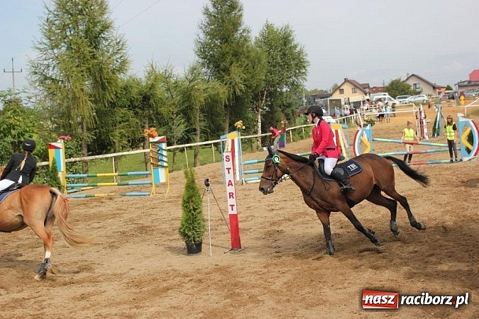 Zdjęcie w galerii na portalu naszraciborz.pl: Udany debiut 13-letniej Marty Starzec wiadomości z regionu