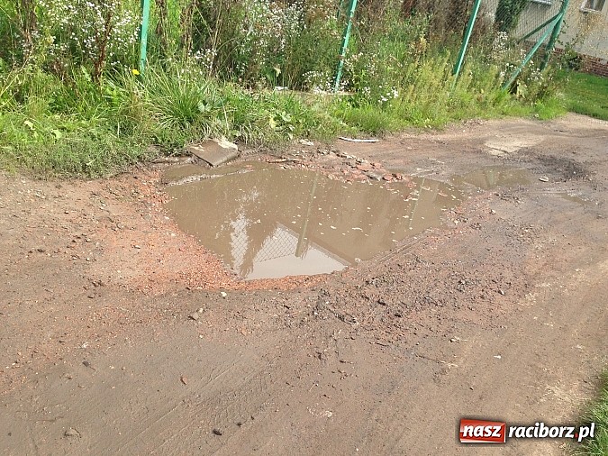 Zdjęcie w galerii na portalu naszraciborz.pl: Fatalny stan drogi dojazdowej na Miechowskiej wiadomości z regionu
