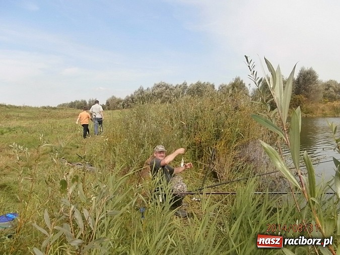Zdjęcie w galerii na portalu naszraciborz.pl: Wędkarze rywalizowali o puchar prezesa koła z Krzyżanowic  wiadomości z regionu