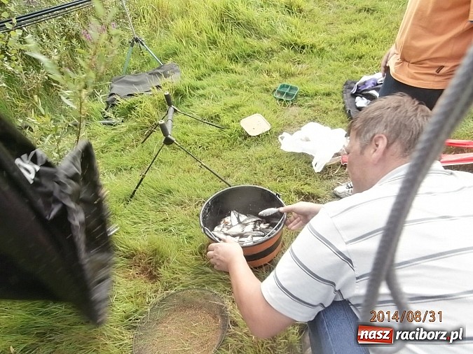 Zdjęcie w galerii na portalu naszraciborz.pl: Wędkarze rywalizowali o puchar prezesa koła z Krzyżanowic  wiadomości z regionu