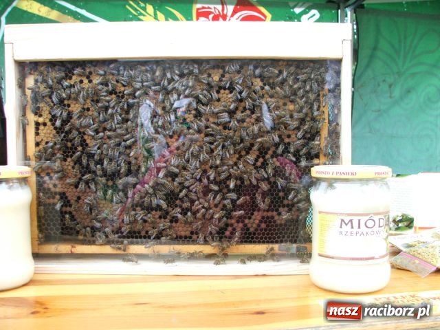 Zdjęcie w galerii na portalu naszraciborz.pl: Zjazdy małych ojczyzn są potrzebne wiadomości z regionu