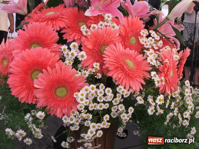 Zdjęcie w galerii na portalu naszraciborz.pl: Zjazdy małych ojczyzn są potrzebne wiadomości z regionu