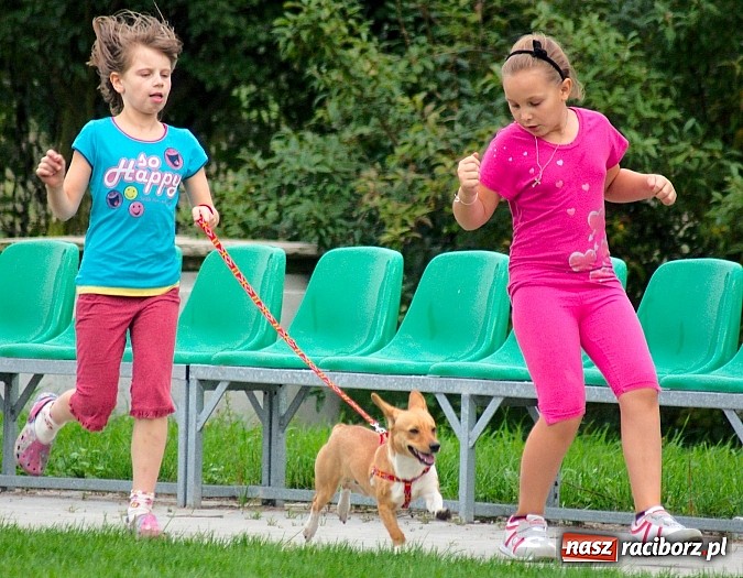 Zdjęcie w galerii na portalu naszraciborz.pl: Trzynaście goli przy Sudeckiej. Płonia nie sprostała Borucinowi wiadomości z regionu