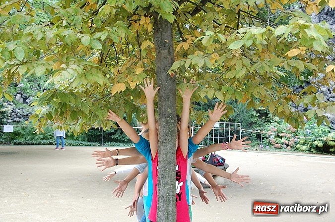 Zdjęcie w galerii na portalu naszraciborz.pl: Mażoretki Tęcza aż trzy razy na podium Mistrzostw Świata w Pradze! wiadomości z regionu