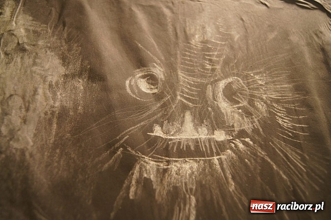 Zdjęcie w galerii na portalu naszraciborz.pl: Ptaki Zofii Wierchowicz w Galerii Sztuki Współczesnej w RCK wiadomości z regionu