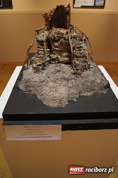 Zdjęcie w galerii na portalu naszraciborz.pl: Ptaki Zofii Wierchowicz w Galerii Sztuki Współczesnej w RCK wiadomości z regionu