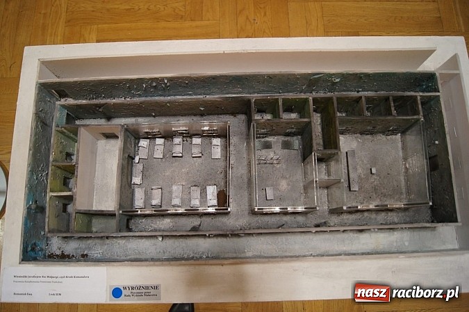 Zdjęcie w galerii na portalu naszraciborz.pl: Ptaki Zofii Wierchowicz w Galerii Sztuki Współczesnej w RCK wiadomości z regionu