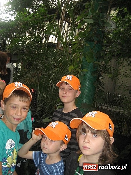 Zdjęcie w galerii na portalu naszraciborz.pl: Udana akcja Lato w Rudzie Kozielskiej wiadomości z regionu