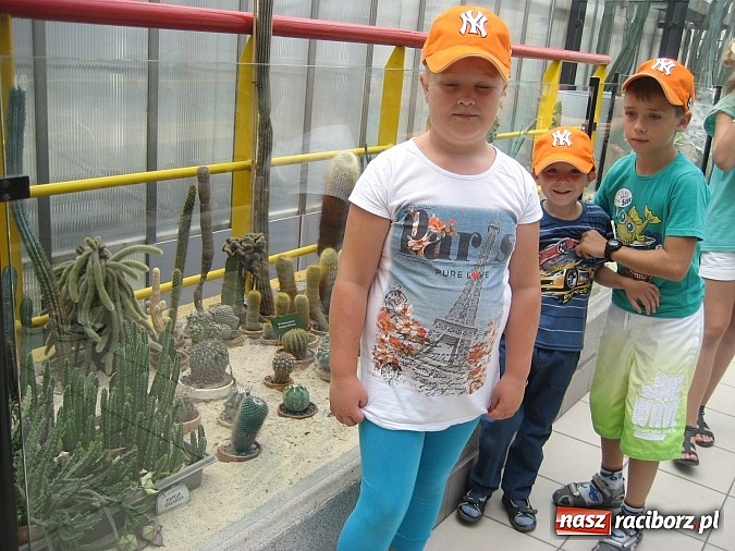 Zdjęcie w galerii na portalu naszraciborz.pl: Udana akcja Lato w Rudzie Kozielskiej wiadomości z regionu