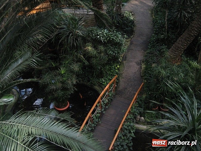 Zdjęcie w galerii na portalu naszraciborz.pl: Udana akcja Lato w Rudzie Kozielskiej wiadomości z regionu