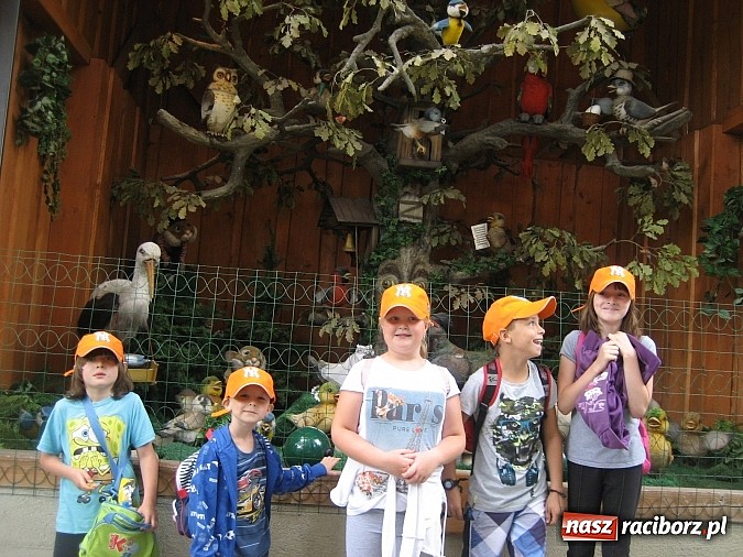 Zdjęcie w galerii na portalu naszraciborz.pl: Udana akcja Lato w Rudzie Kozielskiej wiadomości z regionu