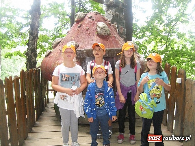 Zdjęcie w galerii na portalu naszraciborz.pl: Udana akcja Lato w Rudzie Kozielskiej wiadomości z regionu