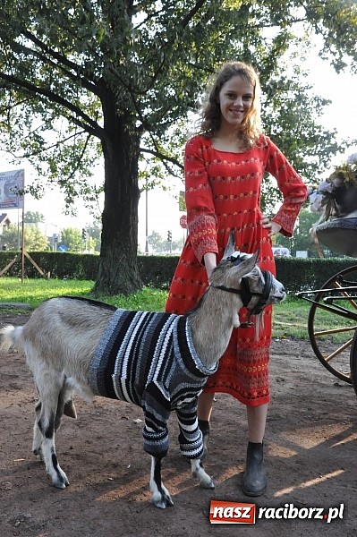 Zdjęcie w galerii na portalu naszraciborz.pl: Dożynki parafialne Płoni i Obory wiadomości z regionu
