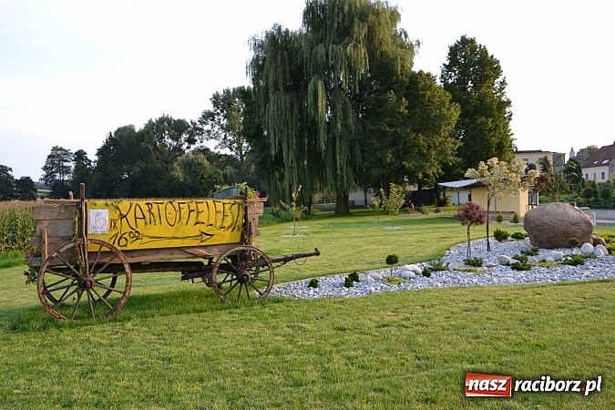Zdjęcie w galerii na portalu naszraciborz.pl: Czy słońce czy deszcz w Bolesławiu jest Kartoffelfest wiadomości z regionu