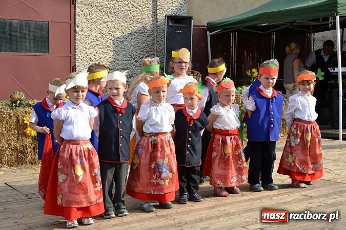Zdjęcie w galerii na portalu naszraciborz.pl: Czy słońce czy deszcz w Bolesławiu jest Kartoffelfest wiadomości z regionu