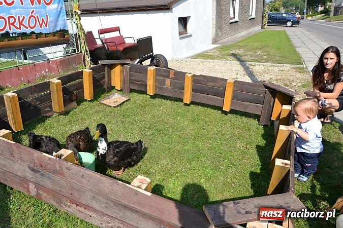 Zdjęcie w galerii na portalu naszraciborz.pl: Tworków pięknie ustrojony na dożynki wiadomości z regionu