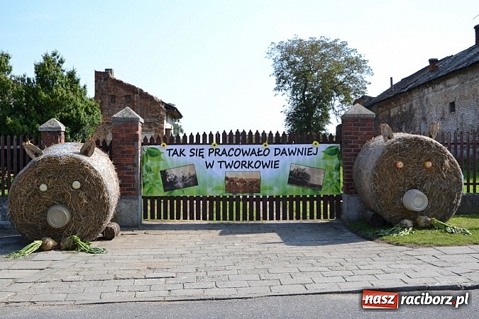 Zdjęcie w galerii na portalu naszraciborz.pl: Tworków pięknie ustrojony na dożynki wiadomości z regionu