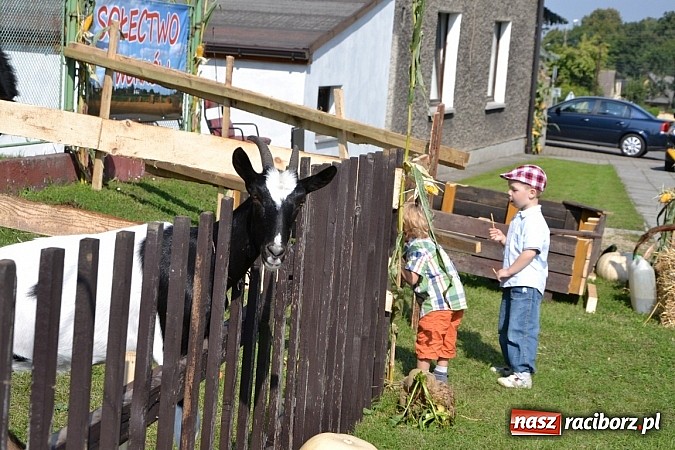 Zdjęcie w galerii na portalu naszraciborz.pl: Tworków pięknie ustrojony na dożynki wiadomości z regionu