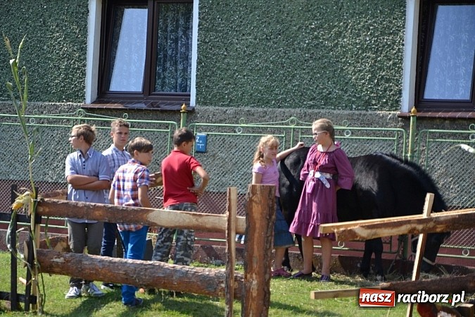Zdjęcie w galerii na portalu naszraciborz.pl: Tworków pięknie ustrojony na dożynki wiadomości z regionu