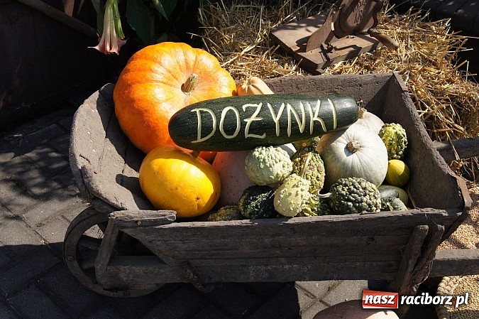 Zdjęcie w galerii na portalu naszraciborz.pl: Babice gospodarzem dożynek w gminie Nędza wiadomości z regionu