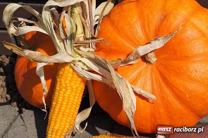 Zdjęcie w galerii na portalu naszraciborz.pl: Babice gospodarzem dożynek w gminie Nędza wiadomości z regionu