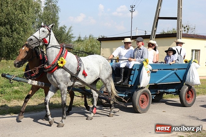 Zdjęcie w galerii na portalu naszraciborz.pl: Tak się bawi gmina Kornowac! wiadomości z regionu