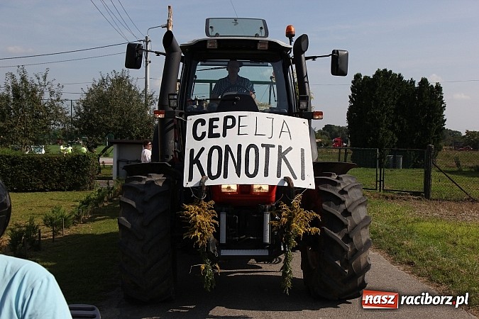 Zdjęcie w galerii na portalu naszraciborz.pl: Tak się bawi gmina Kornowac! wiadomości z regionu