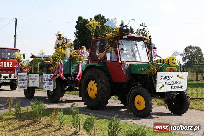 Zdjęcie w galerii na portalu naszraciborz.pl: Tak się bawi gmina Kornowac! wiadomości z regionu
