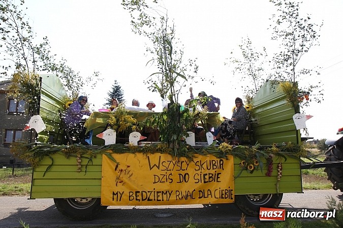 Zdjęcie w galerii na portalu naszraciborz.pl: Tak się bawi gmina Kornowac! wiadomości z regionu