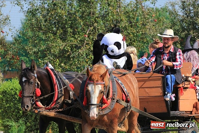 Zdjęcie w galerii na portalu naszraciborz.pl: Tak się bawi gmina Kornowac! wiadomości z regionu