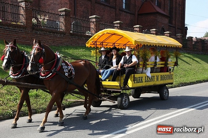 Zdjęcie w galerii na portalu naszraciborz.pl: Potężny korowód dożynkowy w Lubomi! Zobacz jak się bawią nasi sąsiedzi wiadomości z regionu