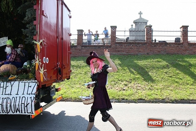Zdjęcie w galerii na portalu naszraciborz.pl: Potężny korowód dożynkowy w Lubomi! Zobacz jak się bawią nasi sąsiedzi wiadomości z regionu