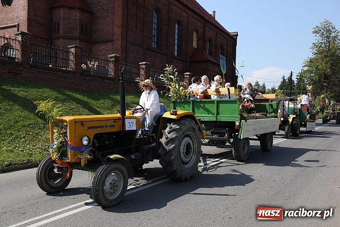 Zdjęcie w galerii na portalu naszraciborz.pl: Potężny korowód dożynkowy w Lubomi! Zobacz jak się bawią nasi sąsiedzi wiadomości z regionu