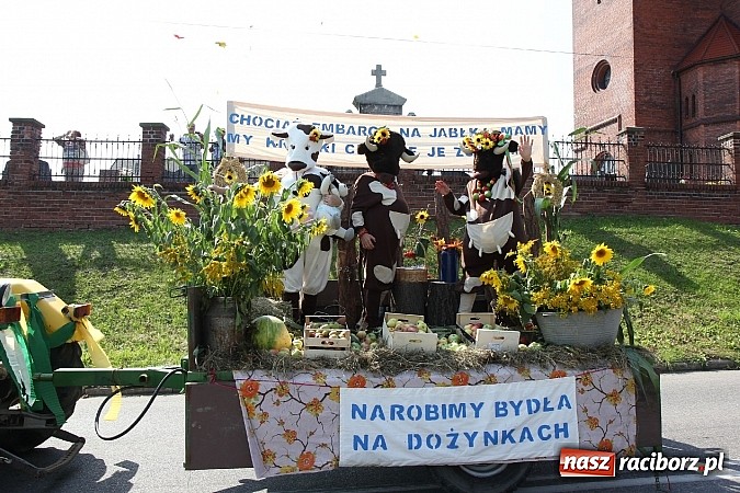 Zdjęcie w galerii na portalu naszraciborz.pl: Potężny korowód dożynkowy w Lubomi! Zobacz jak się bawią nasi sąsiedzi wiadomości z regionu