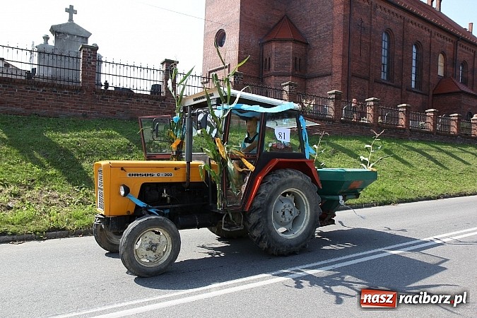 Zdjęcie w galerii na portalu naszraciborz.pl: Potężny korowód dożynkowy w Lubomi! Zobacz jak się bawią nasi sąsiedzi wiadomości z regionu