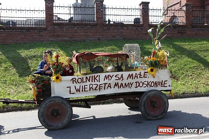 Zdjęcie w galerii na portalu naszraciborz.pl: Potężny korowód dożynkowy w Lubomi! Zobacz jak się bawią nasi sąsiedzi wiadomości z regionu
