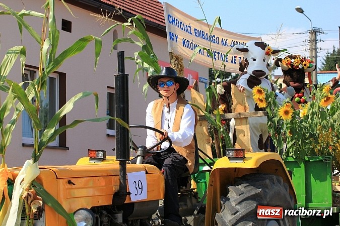 Zdjęcie w galerii na portalu naszraciborz.pl: Potężny korowód dożynkowy w Lubomi! Zobacz jak się bawią nasi sąsiedzi wiadomości z regionu