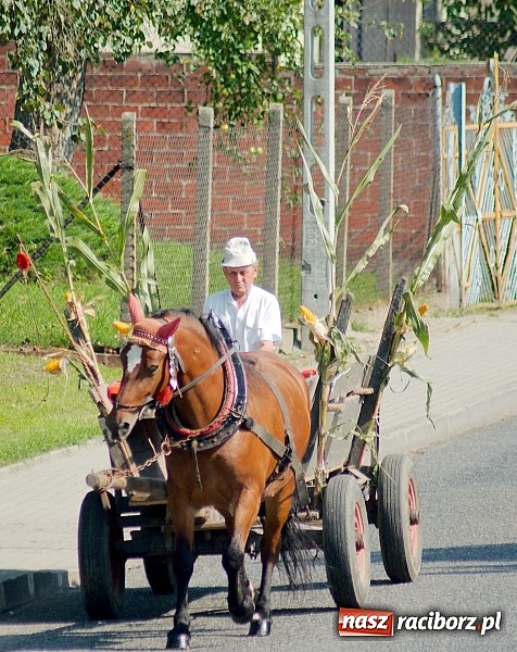 Zdjęcie w galerii na portalu naszraciborz.pl: Boże, z Twoich rąk żyjemy. Dożynki w Cyprzanowie wiadomości z regionu