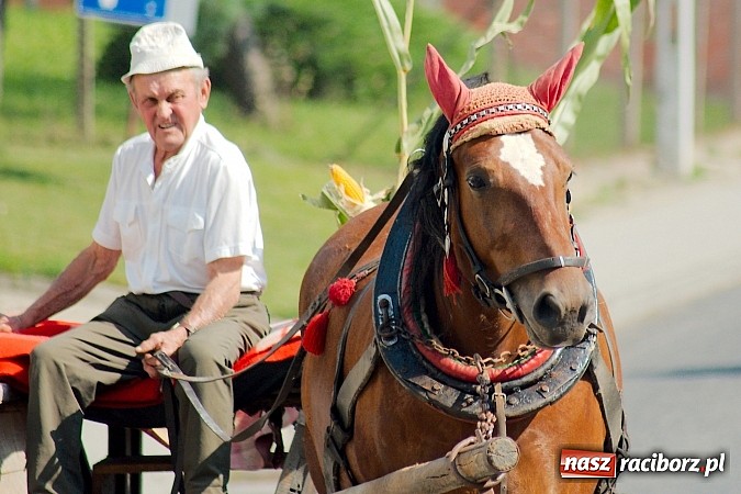 Zdjęcie w galerii na portalu naszraciborz.pl: Boże, z Twoich rąk żyjemy. Dożynki w Cyprzanowie wiadomości z regionu