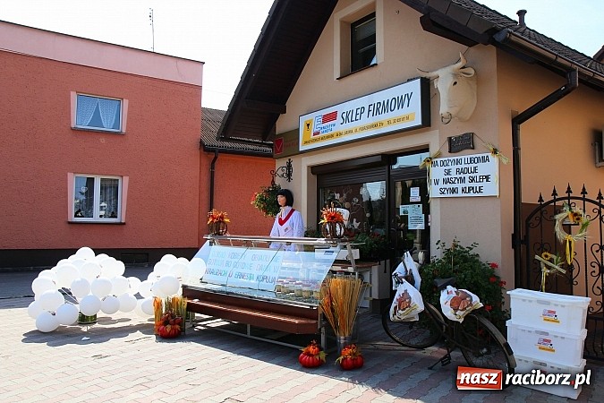 Zdjęcie w galerii na portalu naszraciborz.pl: Pyszna wołowina na dożynkach gminnych na Grab&oacute;wce prosto od Ernestyna Janety! wiadomości z regionu