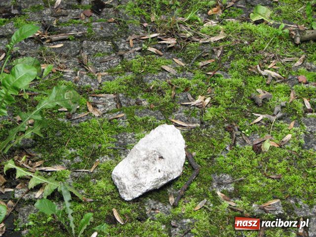 Zdjęcie w galerii na portalu naszraciborz.pl: Wandale nie uszanowali NAGROBKA wiadomości z regionu