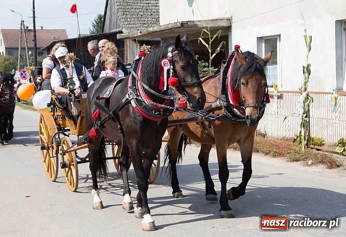 Zdjęcie w galerii na portalu naszraciborz.pl: Trudne żniwa, piękne dożynki. Gmina Rudnik świętowała w Gamowie wiadomości z regionu