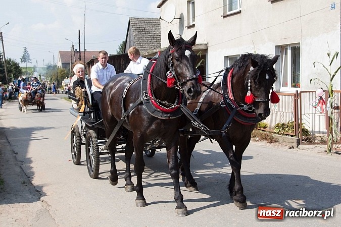 Zdjęcie w galerii na portalu naszraciborz.pl: Trudne żniwa, piękne dożynki. Gmina Rudnik świętowała w Gamowie wiadomości z regionu