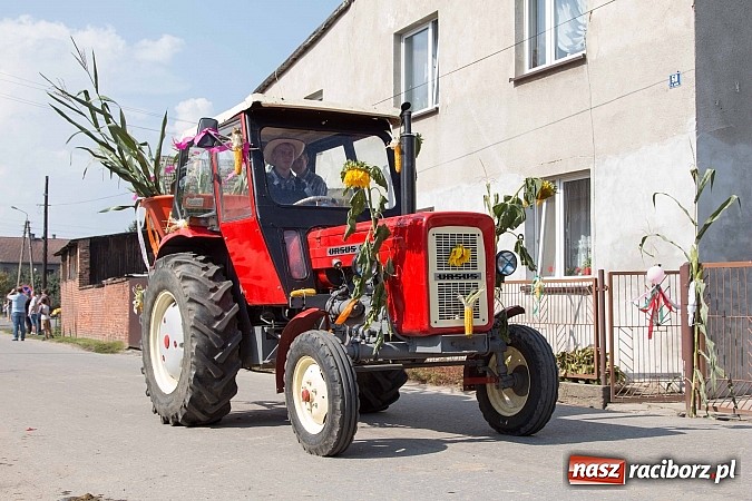 Zdjęcie w galerii na portalu naszraciborz.pl: Trudne żniwa, piękne dożynki. Gmina Rudnik świętowała w Gamowie wiadomości z regionu