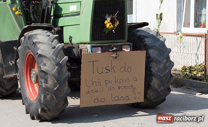 Zdjęcie w galerii na portalu naszraciborz.pl: Trudne żniwa, piękne dożynki. Gmina Rudnik świętowała w Gamowie wiadomości z regionu
