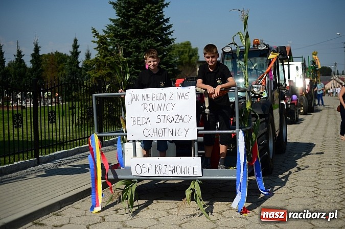 Zdjęcie w galerii na portalu naszraciborz.pl: Borucińskie dożynki raz jeszcze - foto i wideo wiadomości z regionu