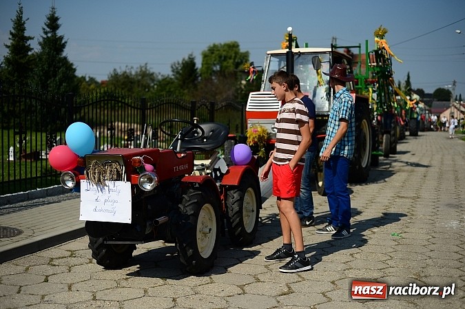 Zdjęcie w galerii na portalu naszraciborz.pl: Borucińskie dożynki raz jeszcze - foto i wideo wiadomości z regionu