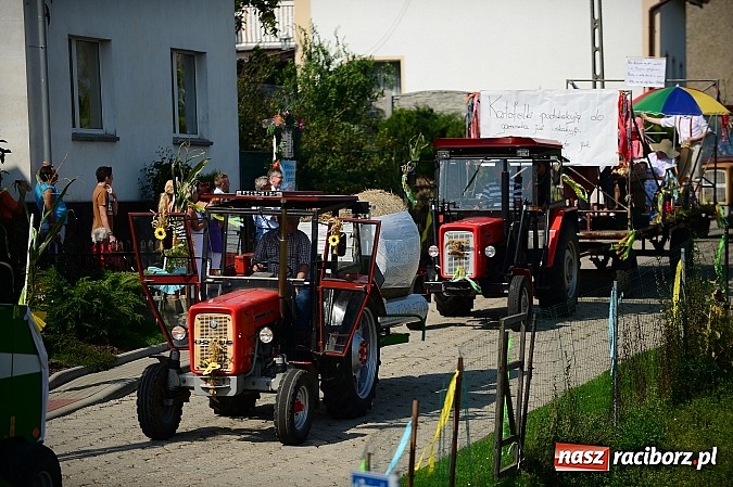Zdjęcie w galerii na portalu naszraciborz.pl: Borucińskie dożynki raz jeszcze - foto i wideo wiadomości z regionu