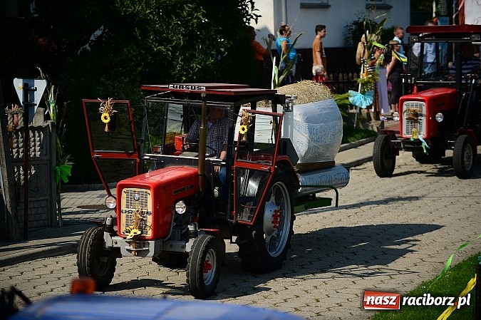 Zdjęcie w galerii na portalu naszraciborz.pl: Borucińskie dożynki raz jeszcze - foto i wideo wiadomości z regionu