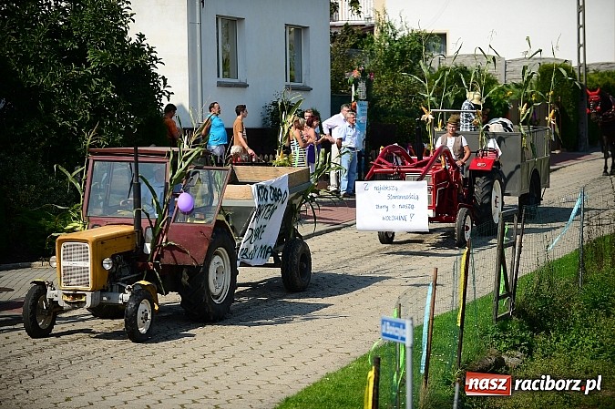 Zdjęcie w galerii na portalu naszraciborz.pl: Borucińskie dożynki raz jeszcze - foto i wideo wiadomości z regionu